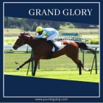 Grand Glory_14 05 2020